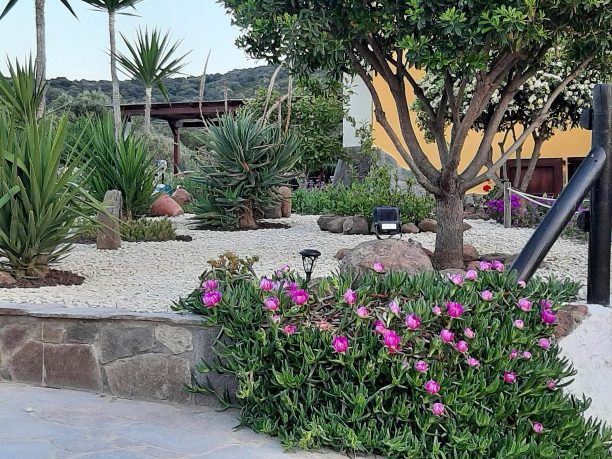 Villa Saige , Piscina Ad Uso Esclusivo, Con Idromassaggio Alguer Exterior foto