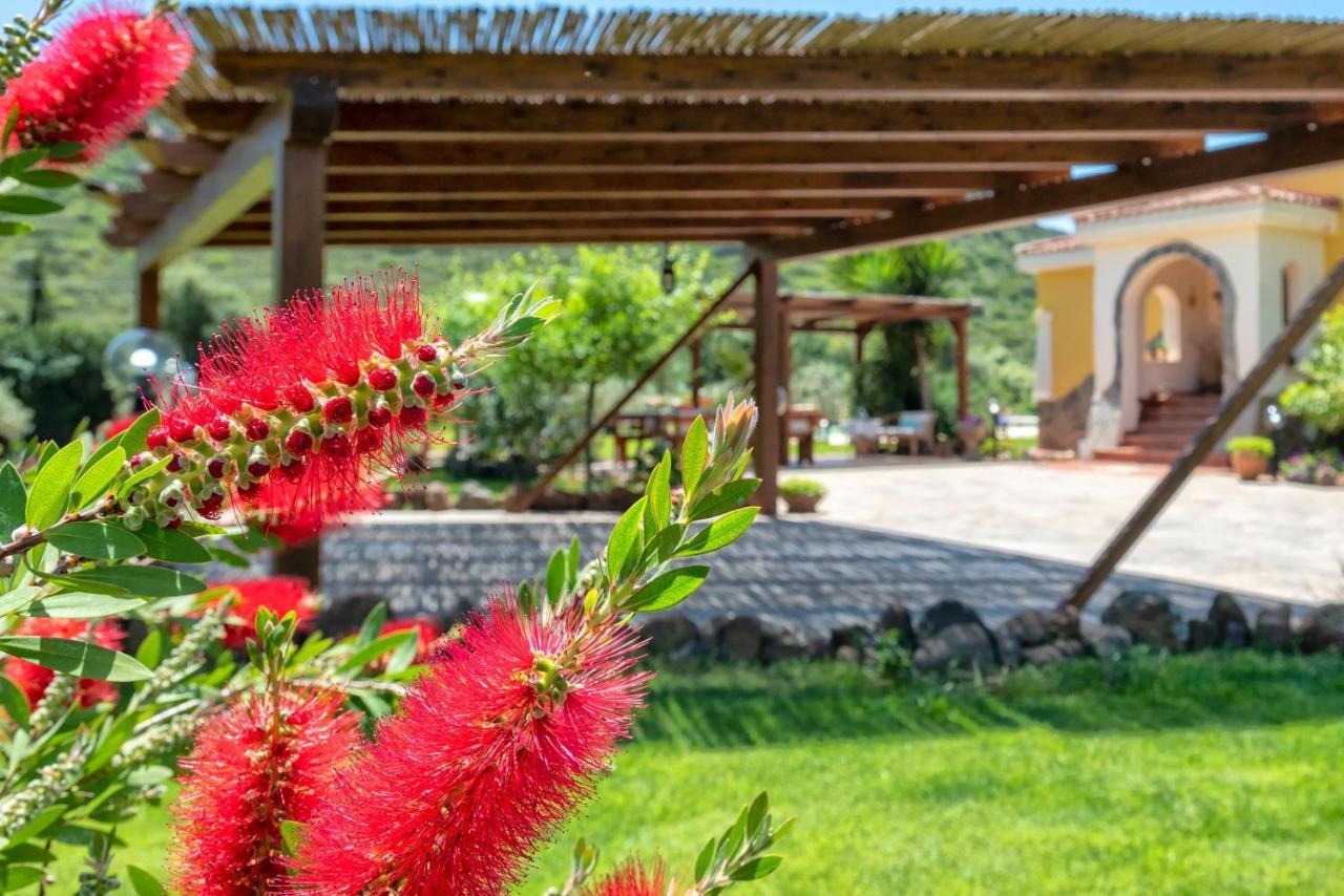 Villa Saige , Piscina Ad Uso Esclusivo, Con Idromassaggio Alguer Exterior foto